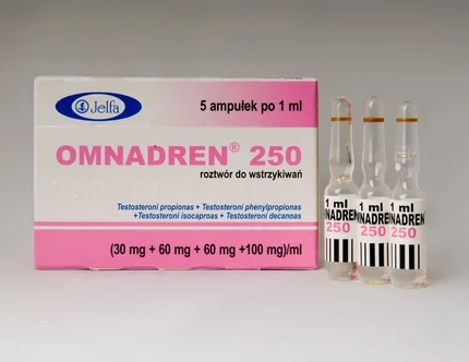 Clinical packaging of Omnadren injection showing testosterone ester dosage information and prescription medicine details for Pharma Research .eu.