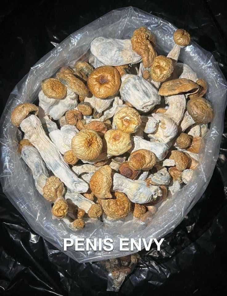 Buy Penis Envy Mushrooms | Most Potent Magic Mushroom